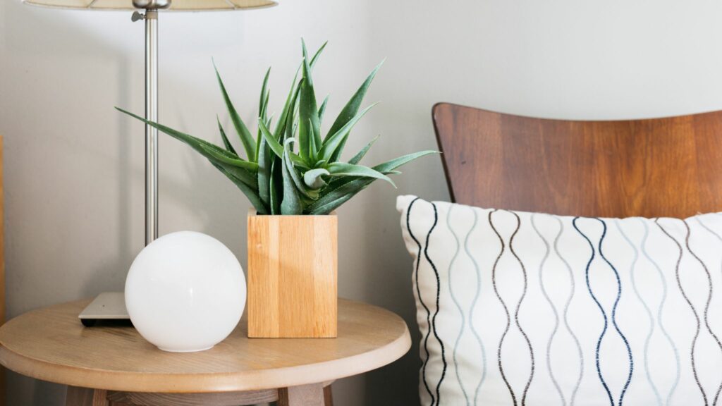 Aloe Vera plant on a bedside table in the bedroom.