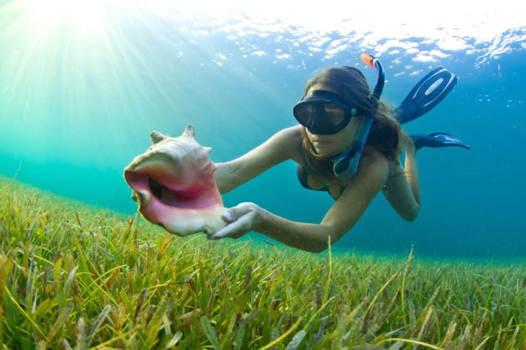 woman with shell snorkelling