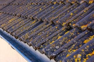 roof tiles with moss and lichen